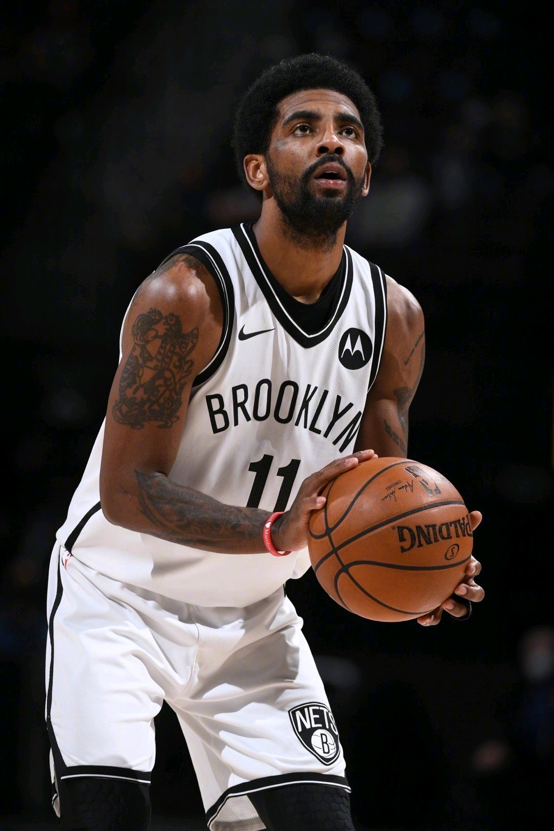 葡萄牙队将 葡萄牙队将